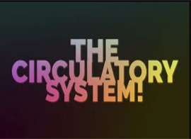 Chapter 16 interactive